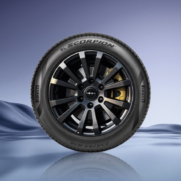 Резина SKORPION ELT 275/55 R20 113V Leopard 5 — изображение 2