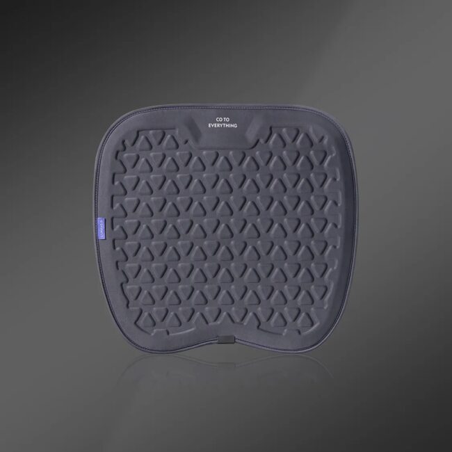 Главная New 12 Главная New