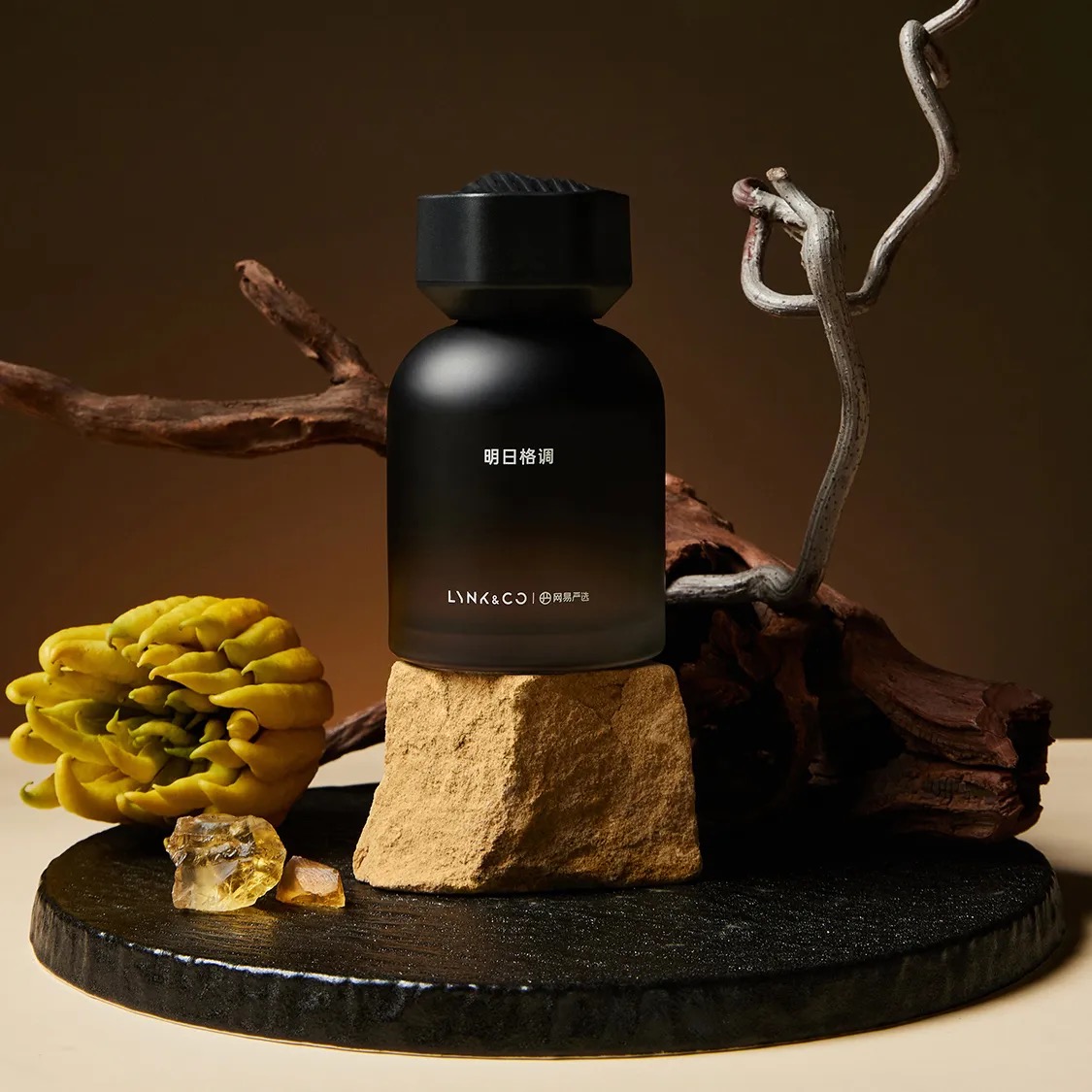 Ароматизатор Lynk & Co 6 Ароматизатор Lynk & Co — изображение 6