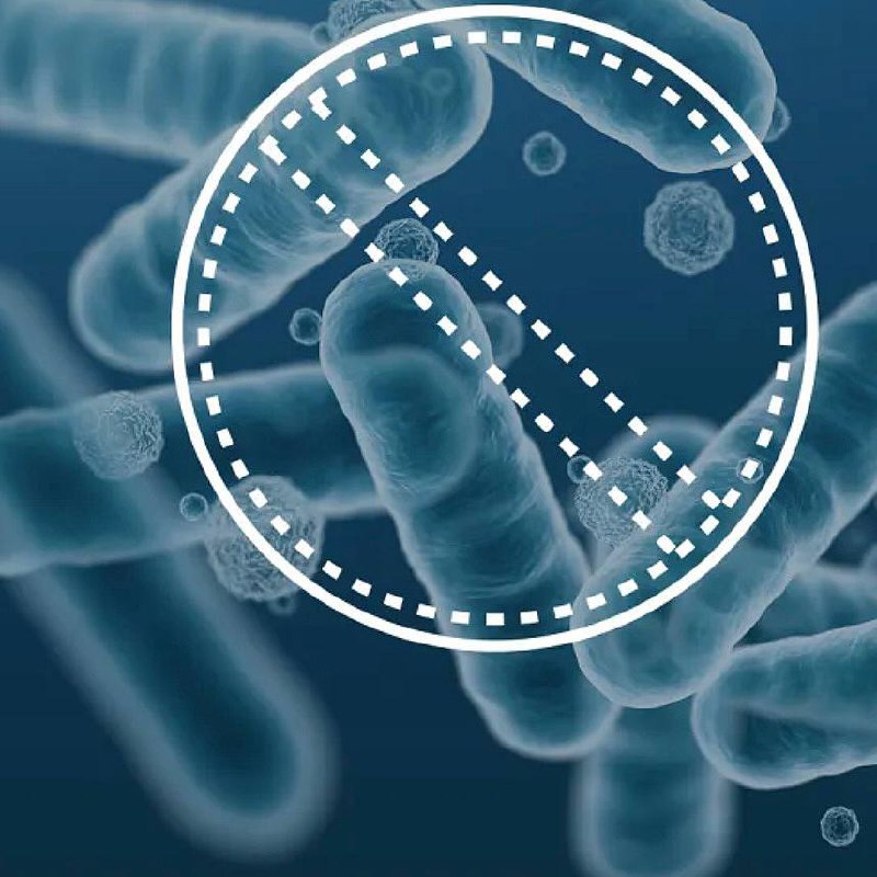 Спрей-дезинфектор для салона Lynk & Co 4 Спрей-дезинфектор для салона Lynk & Co — изображение 4